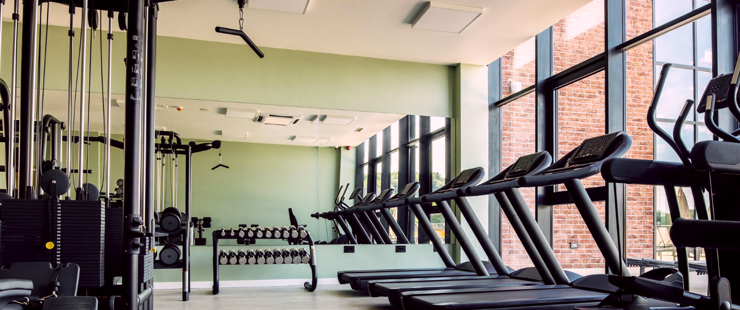 Тренажерный зал: на переднем плане беговые дорожки, на стеллажах — ряды гантелей. В глубине видно другое силовое оборудование. Помещение светлое и просторное.